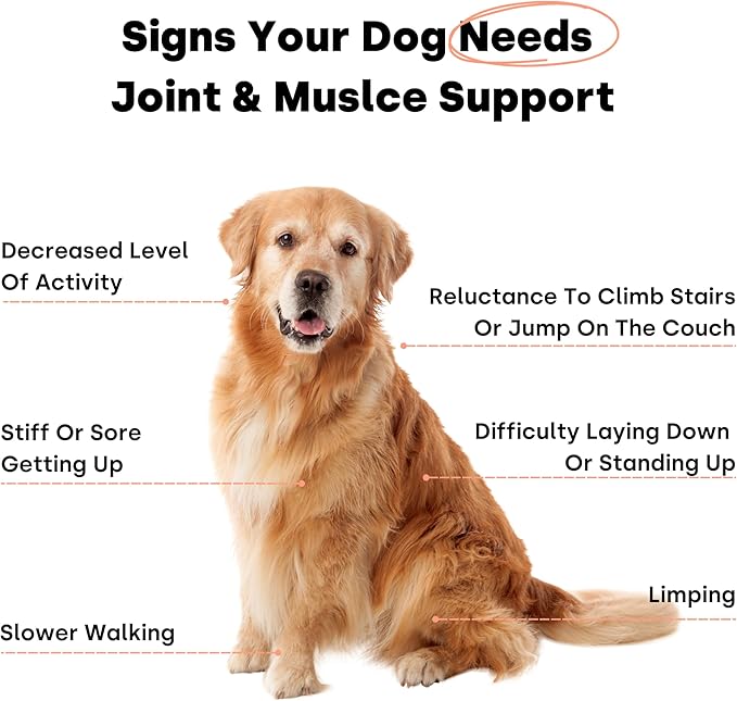 Joint & Recovery | 2-in-1 Joint & Muscle Chews. Help Reduce Pain & Increase Daily Activity. Helps with Arthritis and Pain Prevention. Tasty Trout Flavor.