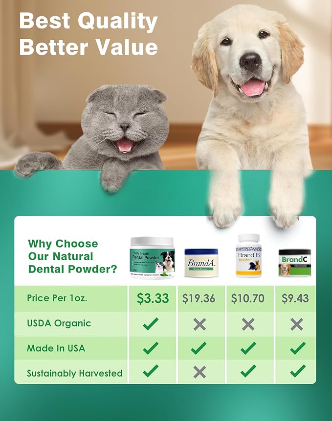 Koite Dog Teeth Cleaning Powder 100g Mint Fights Plaque & Tartar Freshens Breath All-Natural Ingredients for Dogs of All Breeds and Ages Easy to Use Dog Dental Powder E