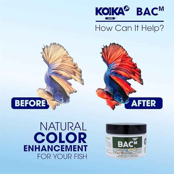 KOIKA BACM Natural Color Enhancement for Fish, Combination of Probiotic & Multi-Vitamins for Aquarium A, B6, B2, Pleasant Smell (BACM (New Formula), 30ml)