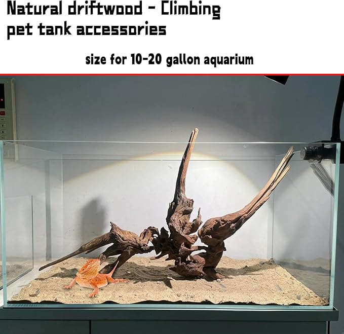 Hamiledyi Aquarium Driftwood, Natural Large 7-15in Coral Driftwood for Aquarium Decor Reptile Tank Decor Terrarium Ornament Wood Branch Trunk Stump for Fish Betta Lizard