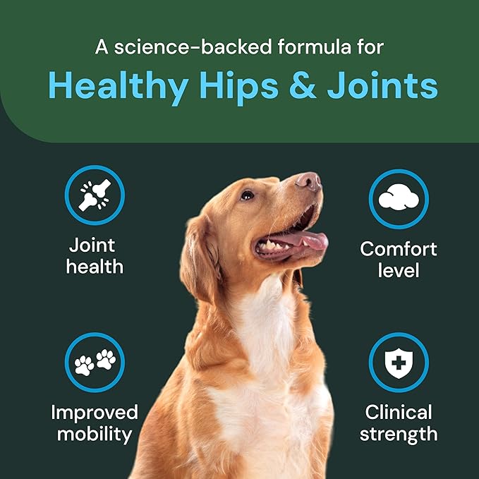 VetriScience Veterinary Strength Healthy Hip & Joint Chews - Joint Health Supplement for Dogs Over 60 Pounds - Supports Mobility & Flexibility in Large Dogs - 60 Count