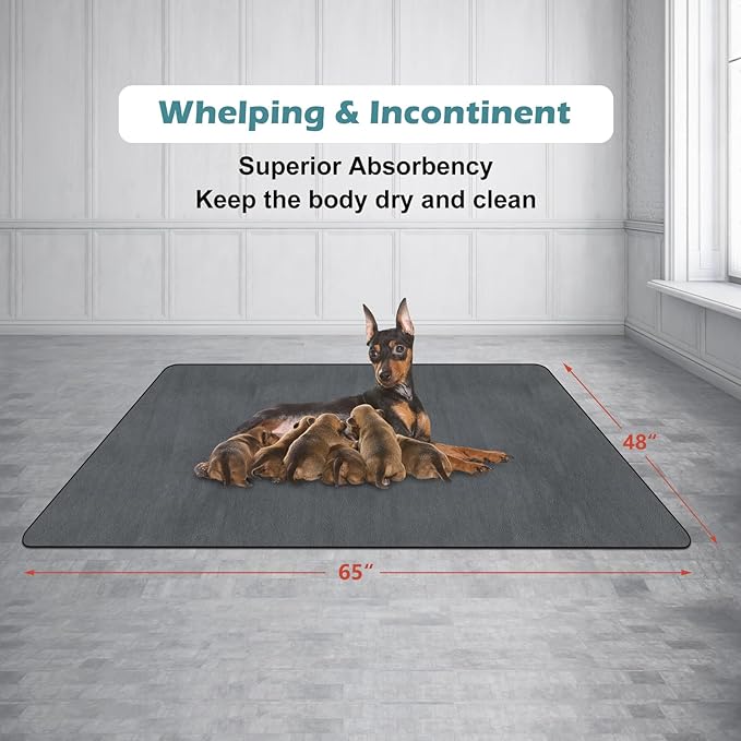 INVENHO Washable Pee Pads for Dogs 65"x48" Reusable Dog Pads Large Upgrade Non-Slip Dog Pee Pads Heavy Absorbency Puppy Pee Pads Quick Dry Whelping Pads/Waterproof Puppy Training Pad