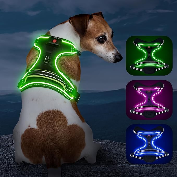 Rechargeable LED Dog Harness - No Pull, 4 Point Adjustable, Small/Medium/Large/X-Large Sizes
