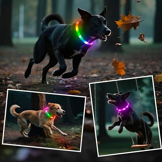 HIGO RGB LED Dog Collar Light - USB Rechargeable Light Up Dog Collars, Safety LED Dog Necklace for Your Dogs Walking at Night (Multi-Color)