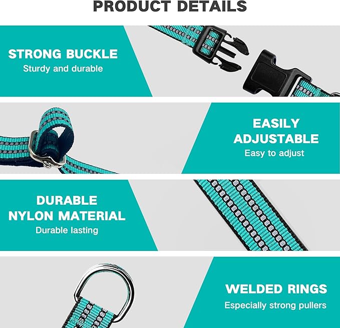 Hikiko Martingale Dog Collars Reflective Nylon Dog Collar with Quick Release Buckle Adjustable Training No Slip Dog Collar (Large, Turquoise)
