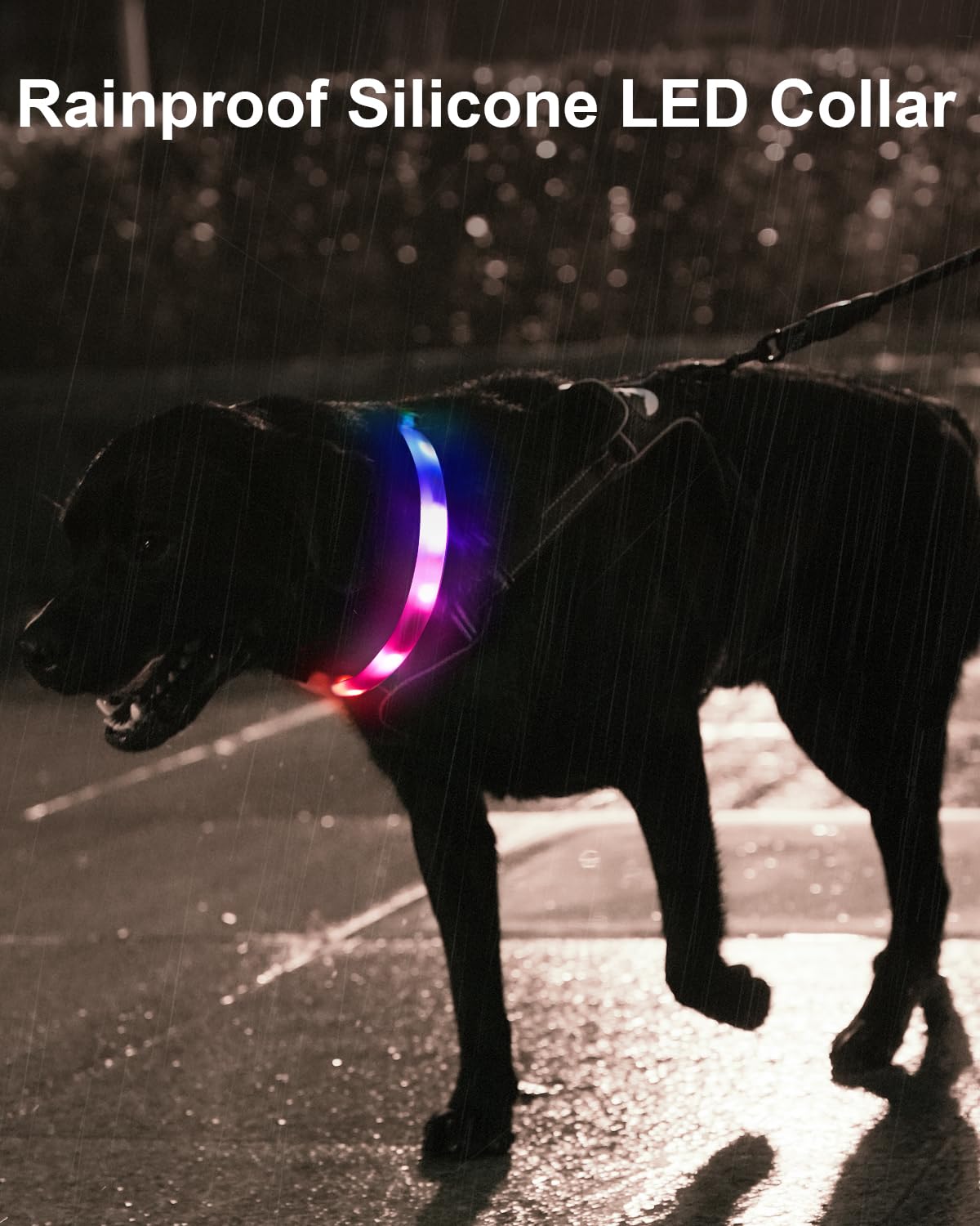 Joytale Light Up Dog Collar, Rainproof and Rechargeable LED, 9 Flashing Modes, Glow for Night Walking, Cuttable Soft Silicone Collar for Large Medium Small Dogs, 27.5 Inch