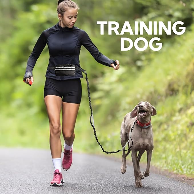 Hands Free Dog Leash, Adjustable Waist Belt with Double Padded Handles, Retractable Bungee for Medium & Large Dogs, Waist Leash for Dog Walking, Running, No Pull, Black