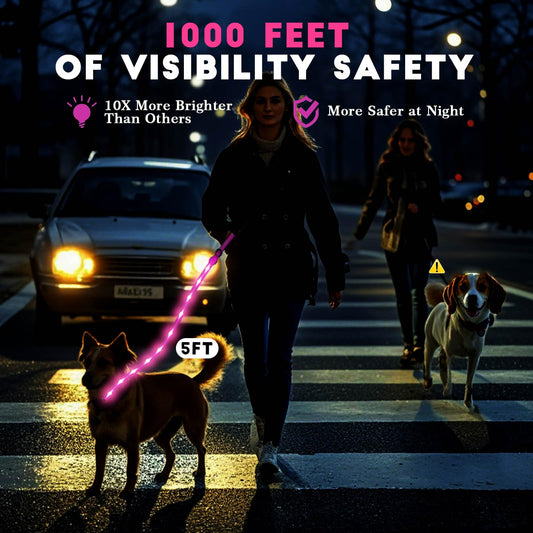 LED Light Up Dog Leash, 5 Ft Rechargeable Lighted Glowing Dog Leash with 3 Flash Modes Night Walking Safety, Nylon Waterproof Reflective Leashes with Padded Handle for Small Medium Large Pet