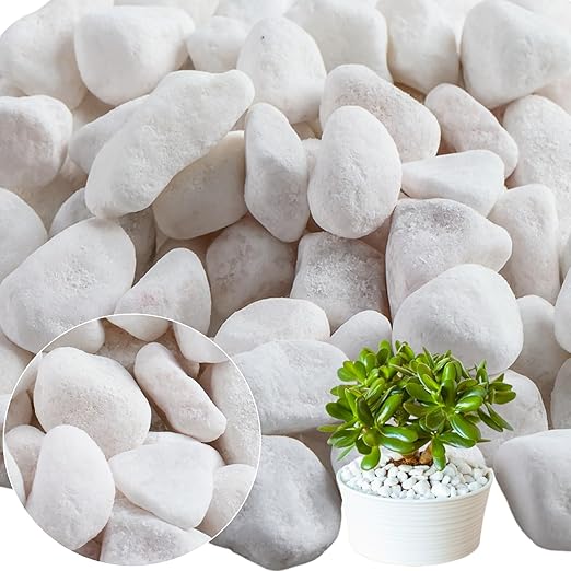 11 Lbs Natural River Rocks for Plants 1.6-2.5 inches Large White Landscaping Garden Stones White Aquarium Gravel Decorative Pebbles for Indoor Outdoor Planters Home Decor