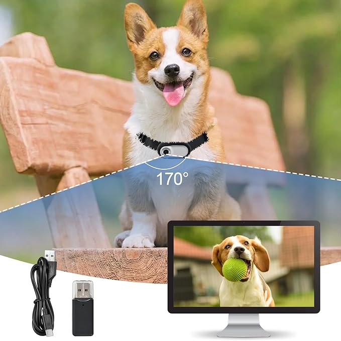 1080p HD Cat Dog Pet Camera Collar with Video Recording Sports Camera Baby Monitor No WiFi Indoor/Outdoor All Activities Pet Supplies and Monitors Gift, Birthday Gift White
