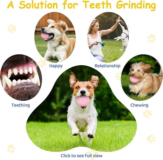 6 Pack Puppy Toys Interactive Dog Toys Squeaky Dog Balls and Treat Chew Toys for Small Dogs Teething and Intellect Training