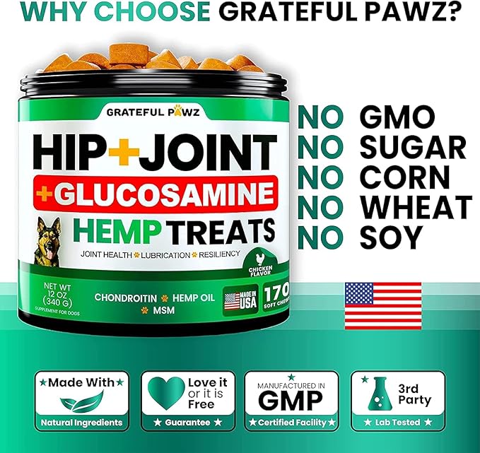 (2 Pack) Hemp Hip and Joint Supplement for Dogs - Glucosamine for Dogs - 340 Joint Pain Relief Treats - Chondroitin, MSM, Hemp Oil - Advanced Health Supplement - Mobility Support Chews - Made in USA