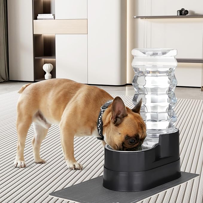 RIZZARI Large Water Dispenser for Dogs: 8L Automatic Stainless Steel Black Gravity Raised Pet Feeder for Pet Dogs Indoor/Outdoor