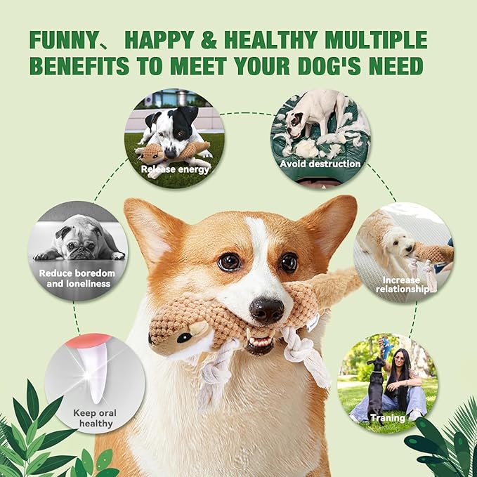 LEGEND SANDY Squeaky Dog Toys, Plush Small Dog Toys, 5 Pack Stuffed Animal Puppy Toys with Tug of War Ropes Value Bundle, Puppy Chew Toys for Teething, Dog Chew Toy for Small Medium Breeds