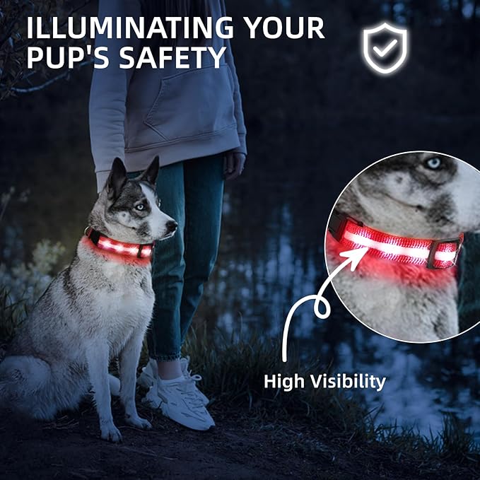 Super Bright LED Dog Collar - Fully Waterproof & Adjustable Glow Collar - USB-C Rechargeable for Night Walking, Safety - Flashing Lighted Collar for Dogs(Red,S)