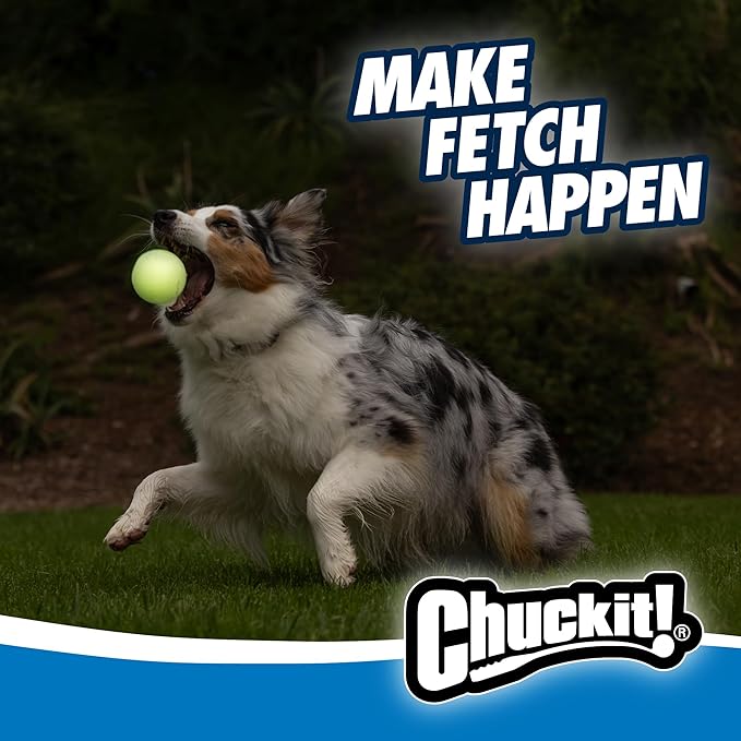 Chuckit Pro Fetch Toy Ball Launcher For Dogs; Compatible With Any Medium Chuckit! Medium Size 25 Inch + Glow Ball