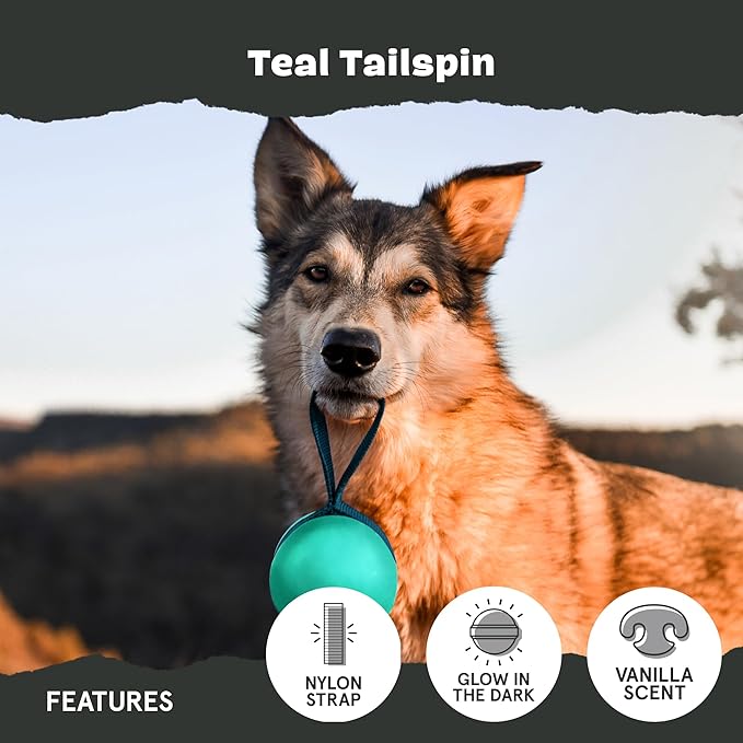 Barkbox Super Chewer Rope Dog Toy for Aggressive Chewers with Reinforced Strap (Tailspin - Large)