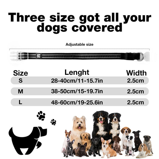 LED Dog Collar, Light Up Dog Collar, Lighted Dog Collars Adjustable for Night Walking, Glow in The Dark Dog Collars Light with USB Rechargeable Color Changing Waterproof for Dogs (Black, Small)