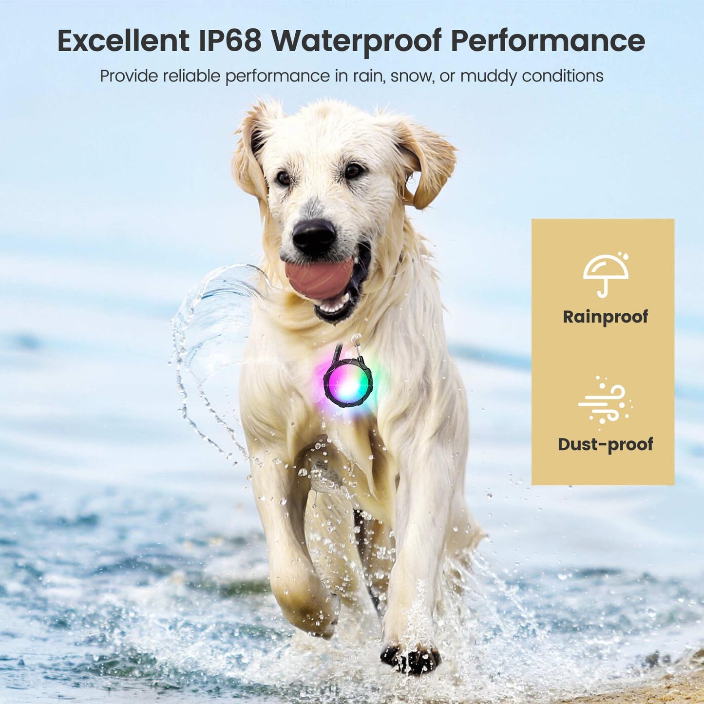 HAJIMMIU Dog Lights for Night Walking, 2 Pack Clip On Dog Collar Light with 4 Modes, 650mAh Rechargeable LED Pet Collar Charm for Nighttime