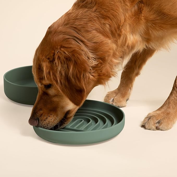 The Slowdown Bowl Silicone Slow Feeder for Dogs & Puppies, Slow Eating, Modern Lick Mat Design, Reduces Gulping, Fits 2.5 Cups 9.5” Across x 1.5” Tall, Mealtime Challenge, Large-Spruce