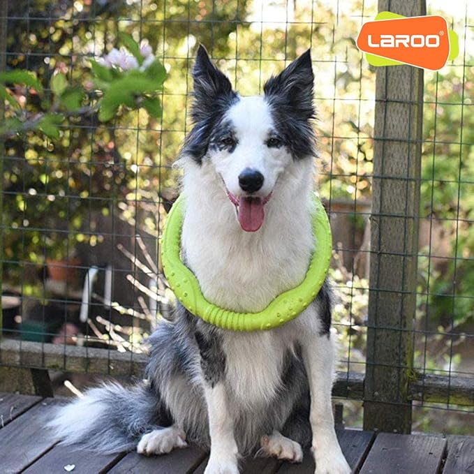 LaRoo Dog Ring Toy - Durable Flying Ring for Fetch, Water Play & Training | Tough Chew-Proof Design for Aggressive Chewer Breeds, Easy-Throw Lightweight Frisbee for Medium/Large Dogs(Green/30cm)