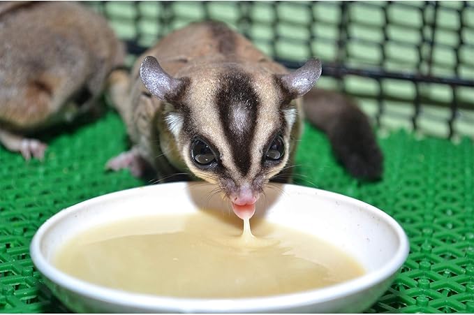 Instant-HPW - All Natural Vitamin Enriched Sugar Glider Food - Healthy & Nutritious - High Protein Wombaroo - Staple Diet (8 oz)