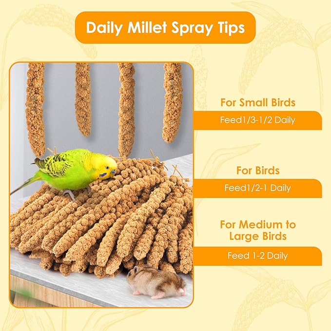 KATUMO Spray Millet for Birds, 2.0LB / 910g Natural Sun-Dried Millet Spray Bird Treats Parakeet Food for Cockatiels Conures Parrots Hamsters Finches