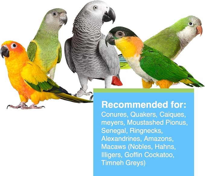 Hagen Tropimix Enrichment Food for Small Parrots, 20 lb. (9.07 kg) - HARI Small Parrot Food with Seeds, Fruit, Nuts, Vegetables, Grains, and Legumes