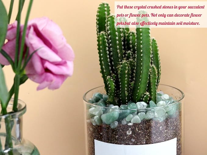 Green Aventurine Healing Crystal Chips Bulk Gemstones Sets Tumbled Crushed Stones Crushed Crystals Natural Rocks for Fountain Rocks Decoration Reiki Energy Balancing Meditation Aquarium Gravel 0.44lb