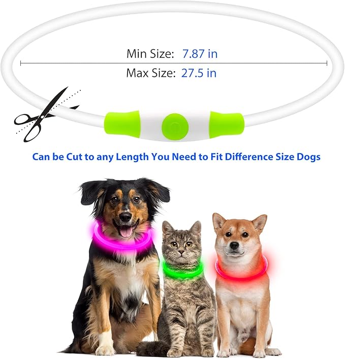 Flashseen LED Dog Collar, USB Rechargeable Glowing Lighted Up Collar, Cuttable Water-Resistant TPU Safety Collar Lights for Small Medium Large Dogs