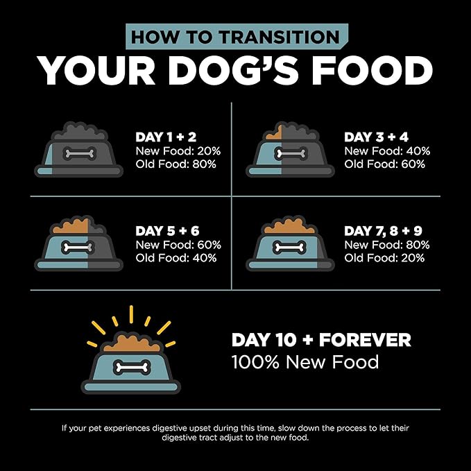 Go! Solutions Digestion + Gut Health, Dry Dog Food, Chicken Recipe with Ancient Grains, 22 lb Bag
