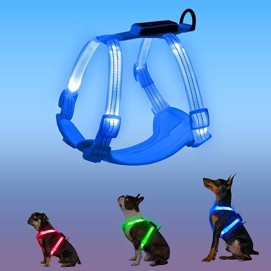 Rechargeable Light Up Dog Harness for Small Dogs – Adjustable LED Dog Vest with Reflective Strips, No Pull Glow in The Dark Puppy Harness for Night Walking Safety-Blue