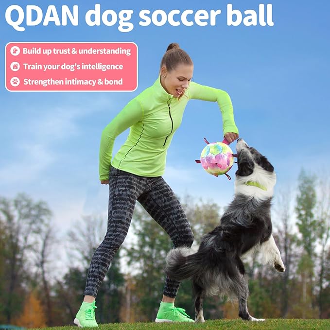 QDAN Premium Dog Toys Soccer Ball with Straps, Puppy Balls for Small Medium Dogs, Dog Water Toys Pool Toys, Puppy Dogs Pet Birthday Gifts, Rainbow（6 Inch）