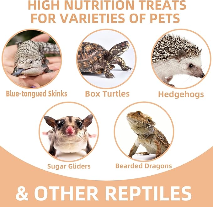 Freeze Dried Crickets – 2.8 Oz High Protein Freeze Dried Crickets, Food for Reptiles, Bearded Dragons, Lizards, Geckos, Birds, Fish,Hedgehogs, Bearded Dragon Food