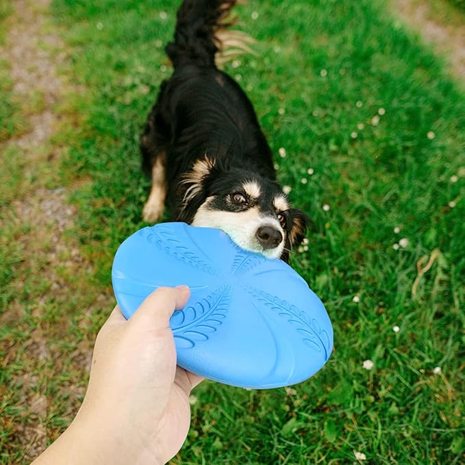 Nobleza 2 Pack Dog Flying Disc, Flexible Floatable Dog Disc Toy for Long-Distance Flies and Floats, Lightweight Soft Flying Discs Toy for Small Medium Large Dogs to Fetch & Catch, Blue & Green