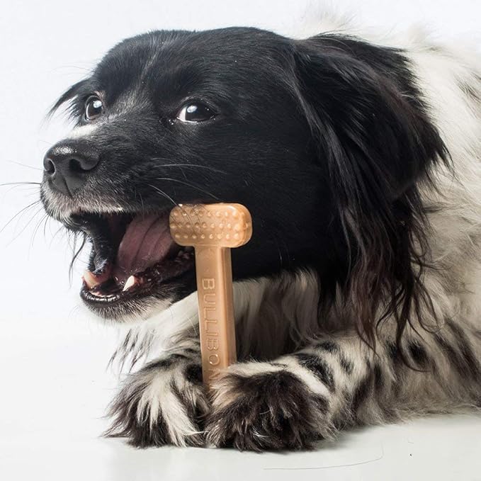 Bullibone Nylon Dog Chew Toy Nylon Bone - Improves Dental Hygiene, Easy to Grip Bottom, and Permeated with Flavor (Bacon, Small - 3 Pack)