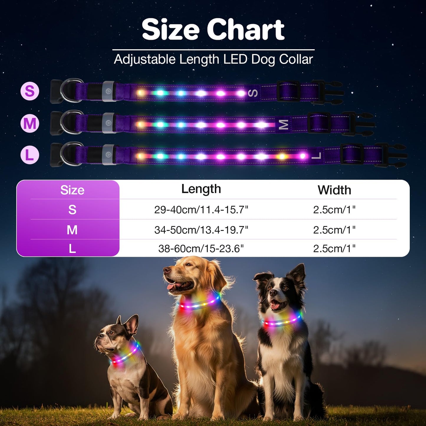 Fiveda Light Up Dog Collar, USB Rechargeable 6 Modes, Waterproof Charging Port, Long Lasting LED Collar - Adjustable Nylon Reflective for Dogs, Sizes S/M/L (7/9/11 Lights) -Purple, M