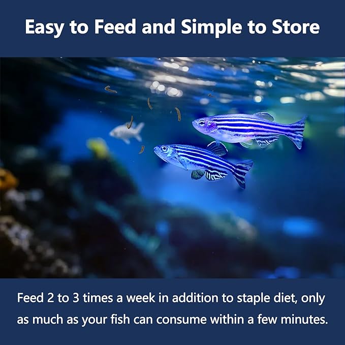 JADINGSFRAM Blood Worms Fish Food 3.5 oz, Freeze Dried Bloodworms for Fish, Bloodworms Fish Food for Freshwater Saltwater Tropical Fish Betta Cichlid Goldfish Guppy Turtle (3.5 OZ)