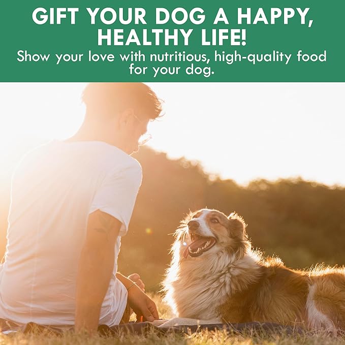 HOLISTIC BIN Canine Super Greens - Plant-Based Nutritional Dog Multivitamin - Essential Vitamins and Supplement for Dogs - Supports Skin, Coat, Bone Health, & Digestive Health for Pet Health (50g)