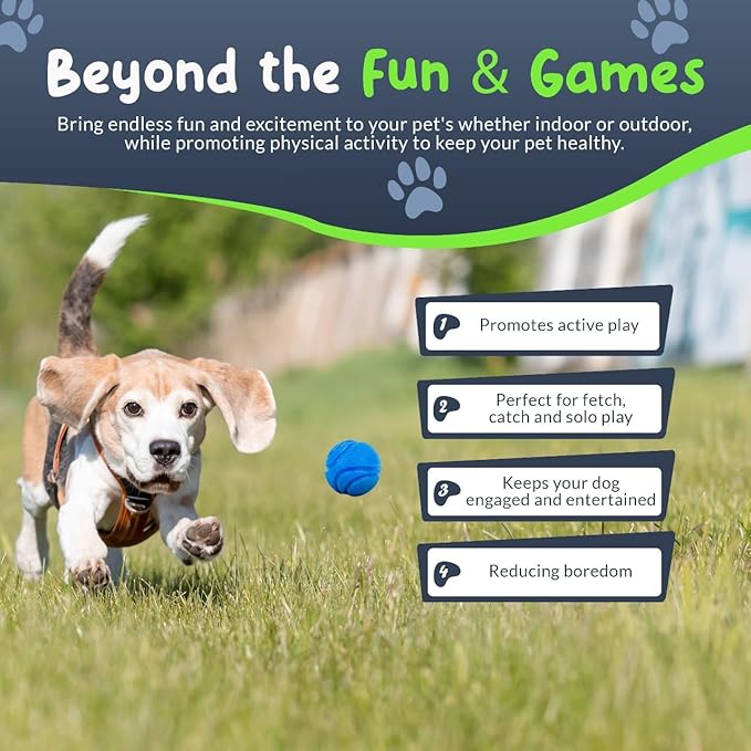 SuperFetch Dog Balls 1.5 Inch No Squeak Toy for Small Dogs Teething Toys for Puppies Rubber Balls for Fetch, Training, Boredom and Solo Play - 6 Pack