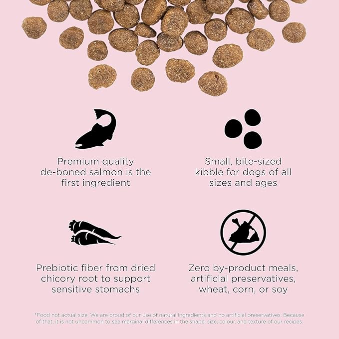 Go! Solutions Sensitivities Limited Ingredients, Grain-Free Dry Dog Food, Small Bites Salmon Recipe for Sensitive Stomach, 3.5 lb Bag