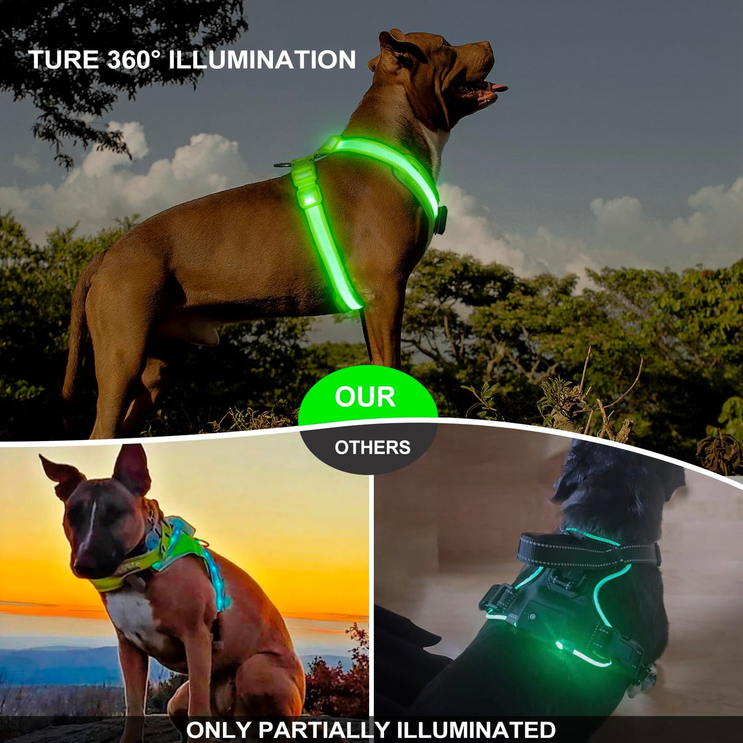 KOSKILL Light Up Dog Harness,Led Dog Harness Rechargeable,Lighted Dog Harness Glow in The Dark, LED Dog Vest Reflective,Light Up Harness for Dogs,Dog Lights for Night Walking(Green,L)