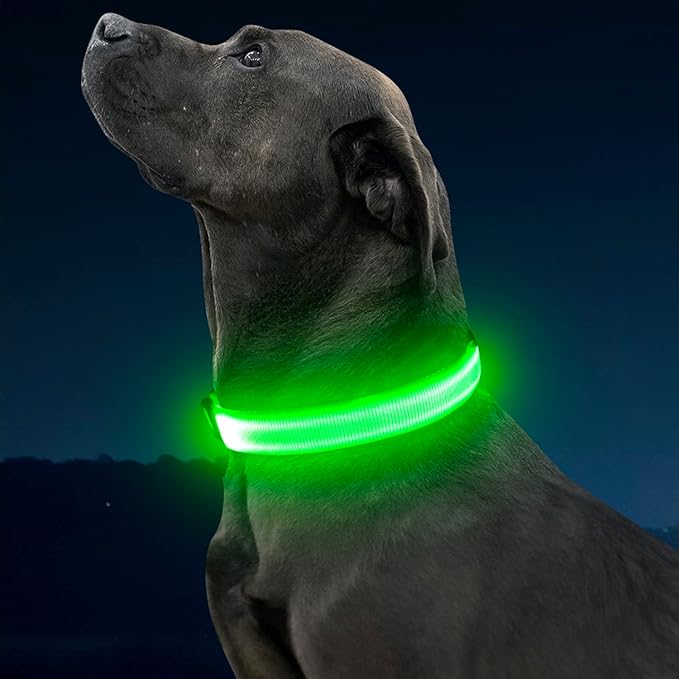 Illumifun Light Up Dog Collar, USB Rechargeable LED Dog Collar Glow in The Dark，Adjustable Pet Safety Lights for Night Walking (Green, Medium)