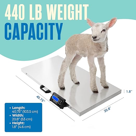 Houseables Dog Scale, Pet Scale, For Large Breed, 440 LB, For Livestock, Dog Weight, Animal, Veterinary, Sheep, Goat, Pig, Shipping, Packages, Weighing, Puppy, Vet, Heavy Duty, Digital, 41x21 Platform