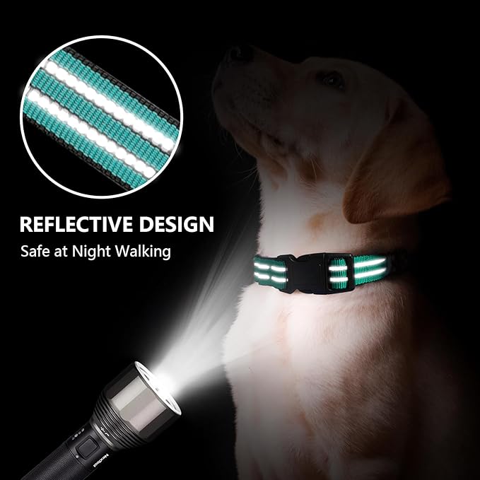 Hikiko Martingale Dog Collars Reflective Nylon Dog Collar with Quick Release Buckle Adjustable Training No Slip Dog Collar (Large, Turquoise)
