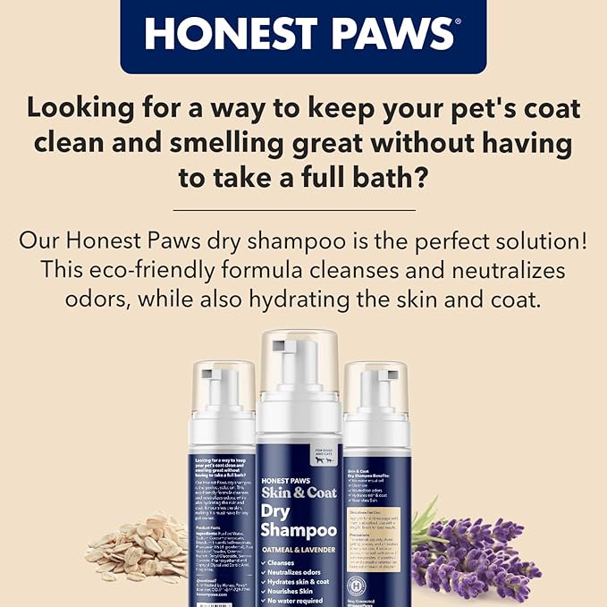 Honest Paws Dog Dry Shampoo - Waterless No Rinse Foaming Formula Reducing Itch Cleanse Hydrate Nourish Dry Skin and Smelly Coat Help Decrease Odor Shedding and Allergies - Oatmeal & Lavender - 6.3 oz