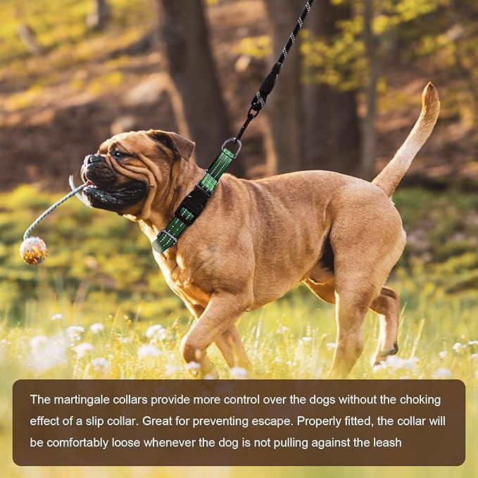 Hikiko Martingale Dog Collars Reflective Nylon Dog Collar with Quick Release Buckle Adjustable Training No Slip Dog Collar (Medium, Green)