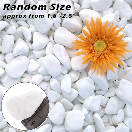 11 Lbs Natural River Rocks for Plants 1.6-2.5 inches Large White Landscaping Garden Stones White Aquarium Gravel Decorative Pebbles for Indoor Outdoor Planters Home Decor