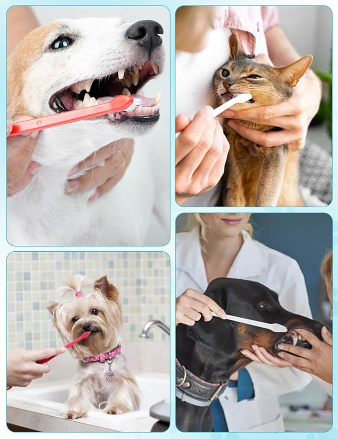 10 Pcs Dual-Headed Pet Toothbrush for Dogs & Cats