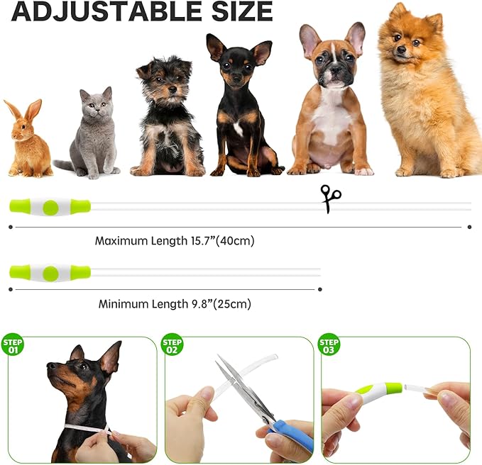 BSEEN Light Up Dog Collar - Rainproof Rechargeable LED Dog Collar - TPU Cuttable Glowing Pet Collar for Small Dogs& Cats - Puppy Safety Dog Lights for Night Walking (XS- Green 40cm)